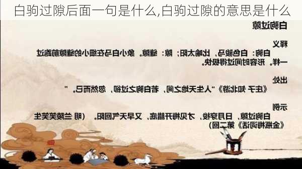 白驹过隙后面一句是什么,白驹过隙的意思是什么