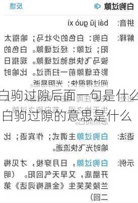 白驹过隙后面一句是什么,白驹过隙的意思是什么