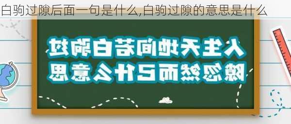 白驹过隙后面一句是什么,白驹过隙的意思是什么