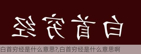 白首穷经是什么意思?,白首穷经是什么意思啊