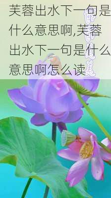 芙蓉出水下一句是什么意思啊,芙蓉出水下一句是什么意思啊怎么读