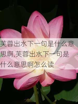 芙蓉出水下一句是什么意思啊,芙蓉出水下一句是什么意思啊怎么读