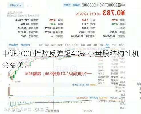 中证2000指数反弹超40% 小盘股结构性机会受关注