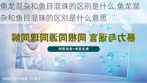 鱼龙混杂和鱼目混珠的区别是什么,鱼龙混杂和鱼目混珠的区别是什么意思