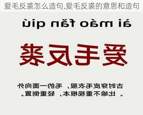 爱毛反裘怎么造句,爱毛反裘的意思和造句