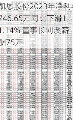 凯恩股份2023年净利4746.65万同比下滑11.14% 董事长刘溪薪酬75万