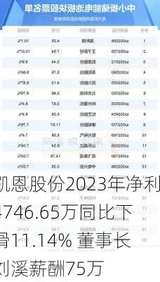 凯恩股份2023年净利4746.65万同比下滑11.14% 董事长刘溪薪酬75万