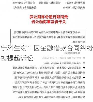 宁科生物：因金融借款合同纠纷被提起诉讼