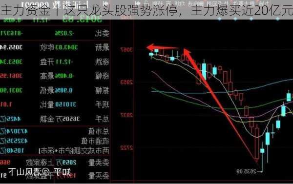 主力资金丨这只龙头股强势涨停，主力爆买近20亿元