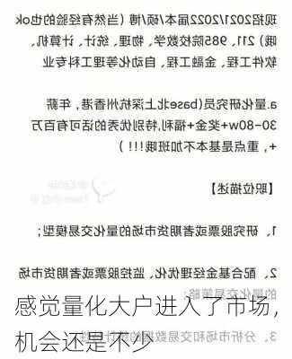 感觉量化大户进入了市场，机会还是不少