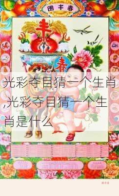 光彩夺目猜一个生肖,光彩夺目猜一个生肖是什么