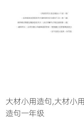 大材小用造句,大材小用造句一年级