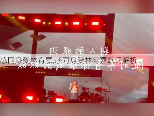 感同身受林宥嘉,感同身受林宥嘉歌词解析