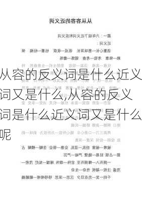 从容的反义词是什么近义词又是什么,从容的反义词是什么近义词又是什么呢