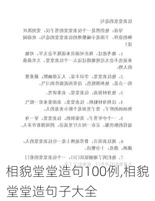 相貌堂堂造句100例,相貌堂堂造句子大全