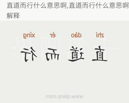 直道而行什么意思啊,直道而行什么意思啊解释