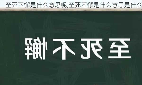 至死不懈是什么意思呢,至死不懈是什么意思是什么