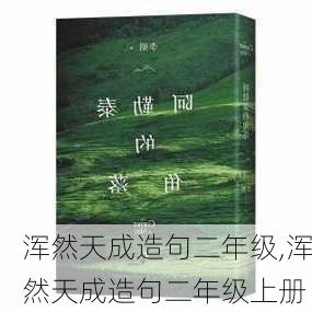 浑然天成造句二年级,浑然天成造句二年级上册