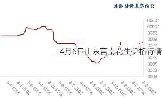 4月6日山东莒南花生价格行情