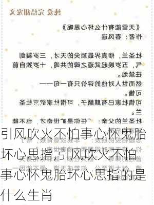 引风吹火不怕事心怀鬼胎坏心思指,引风吹火不怕事心怀鬼胎坏心思指的是什么生肖