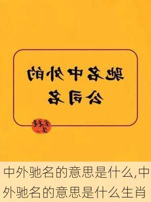 中外驰名的意思是什么,中外驰名的意思是什么生肖