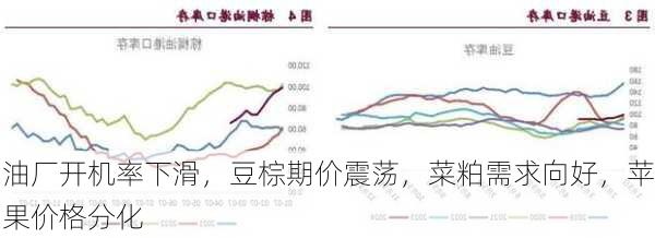 油厂开机率下滑，豆棕期价震荡，菜粕需求向好，苹果价格分化