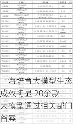 上海培育大模型生态成效初显 20余款大模型通过相关部门备案