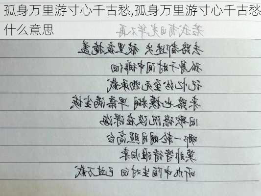 孤身万里游寸心千古愁,孤身万里游寸心千古愁什么意思