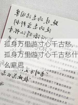 孤身万里游寸心千古愁,孤身万里游寸心千古愁什么意思