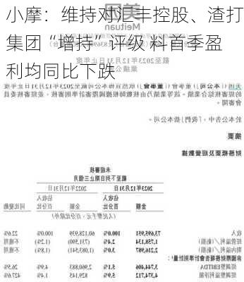 小摩：维持对汇丰控股、渣打集团“增持”评级 料首季盈利均同比下跌