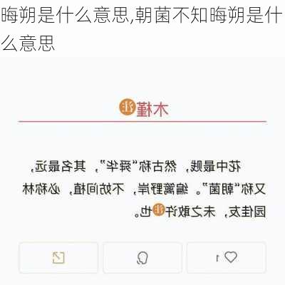 晦朔是什么意思,朝菌不知晦朔是什么意思