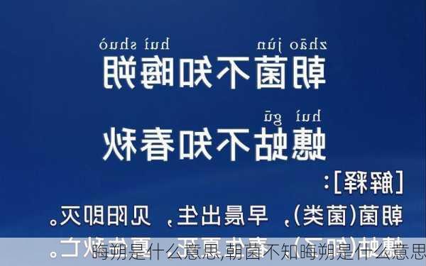 晦朔是什么意思,朝菌不知晦朔是什么意思