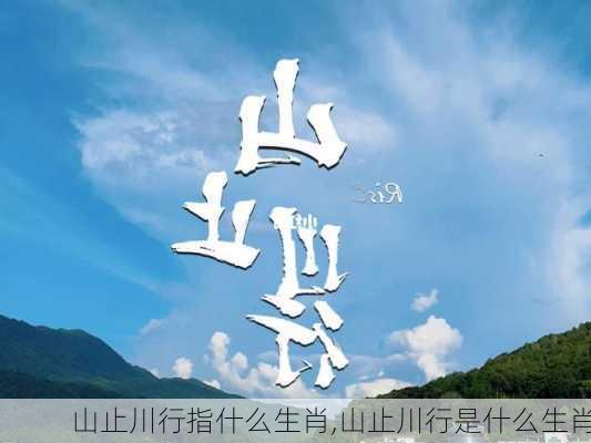 山止川行指什么生肖,山止川行是什么生肖