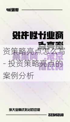 资策略亮点怎么写 - 投资策略亮点的案例分析