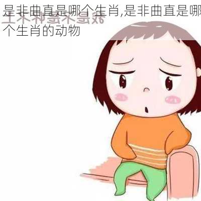 是非曲直是哪个生肖,是非曲直是哪个生肖的动物