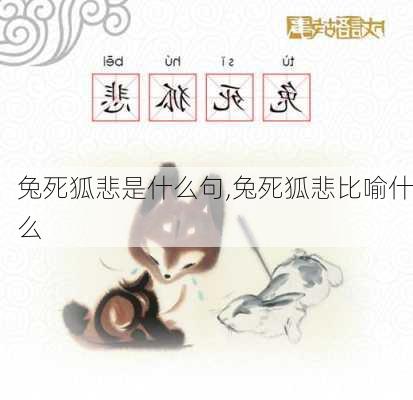 兔死狐悲是什么句,兔死狐悲比喻什么