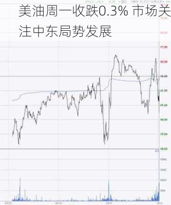 美油周一收跌0.3% 市场关注中东局势发展