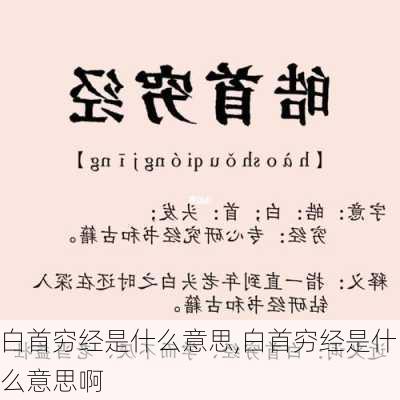 白首穷经是什么意思,白首穷经是什么意思啊