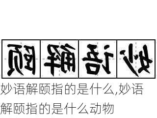 妙语解颐指的是什么,妙语解颐指的是什么动物