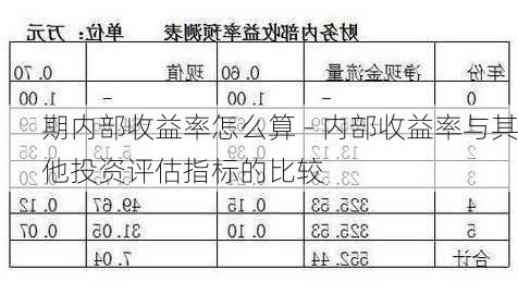 期内部收益率怎么算 - 内部收益率与其他投资评估指标的比较