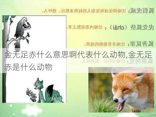 金无足赤什么意思啊代表什么动物,金无足赤是什么动物