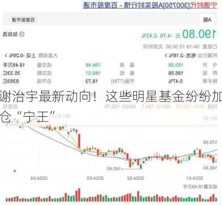 谢治宇最新动向！这些明星基金纷纷加仓“宁王”