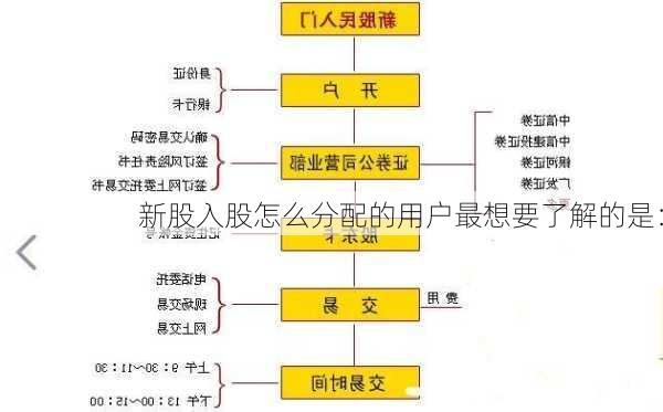 新股入股怎么分配的用户最想要了解的是：