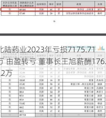 北陆药业2023年亏损7175.71万 由盈转亏 董事长王旭薪酬176.22万