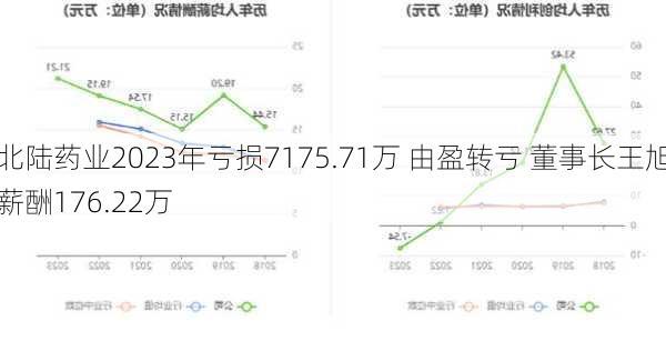 北陆药业2023年亏损7175.71万 由盈转亏 董事长王旭薪酬176.22万