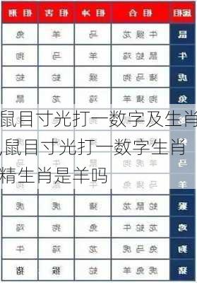 鼠目寸光打一数字及生肖,鼠目寸光打一数字生肖精生肖是羊吗