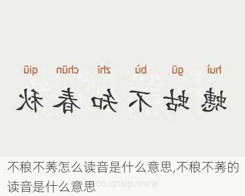 不稂不莠怎么读音是什么意思,不稂不莠的读音是什么意思