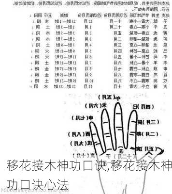 移花接木神功口诀,移花接木神功口诀心法