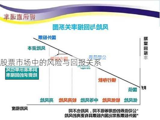 股票市场中的风险与回报关系