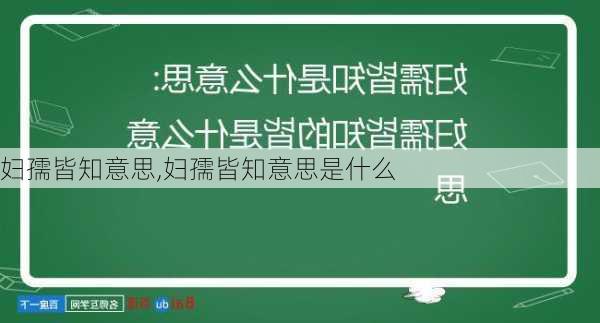 妇孺皆知意思,妇孺皆知意思是什么